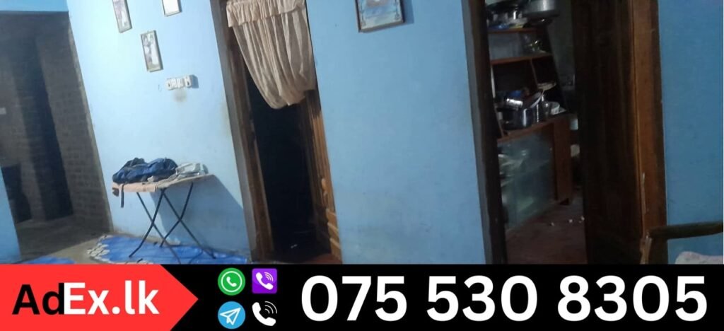 Buy House in Arayampathy