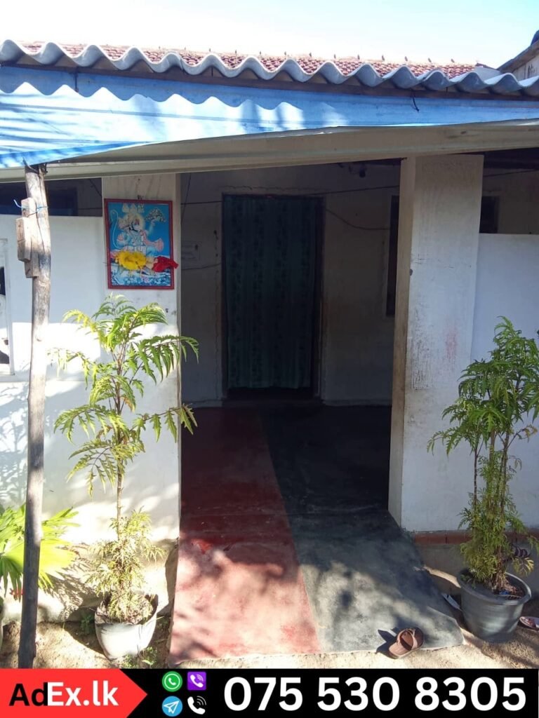 House for Sale in Munaikkadu South Batticaloa