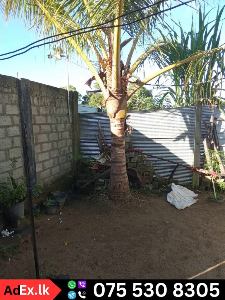 House Sale Batticaloa Munaikkadu