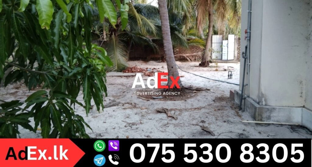 House Sale in Thalankudah