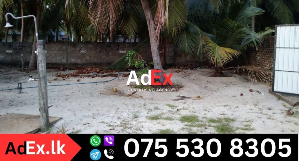 Buy House in Thalankudah