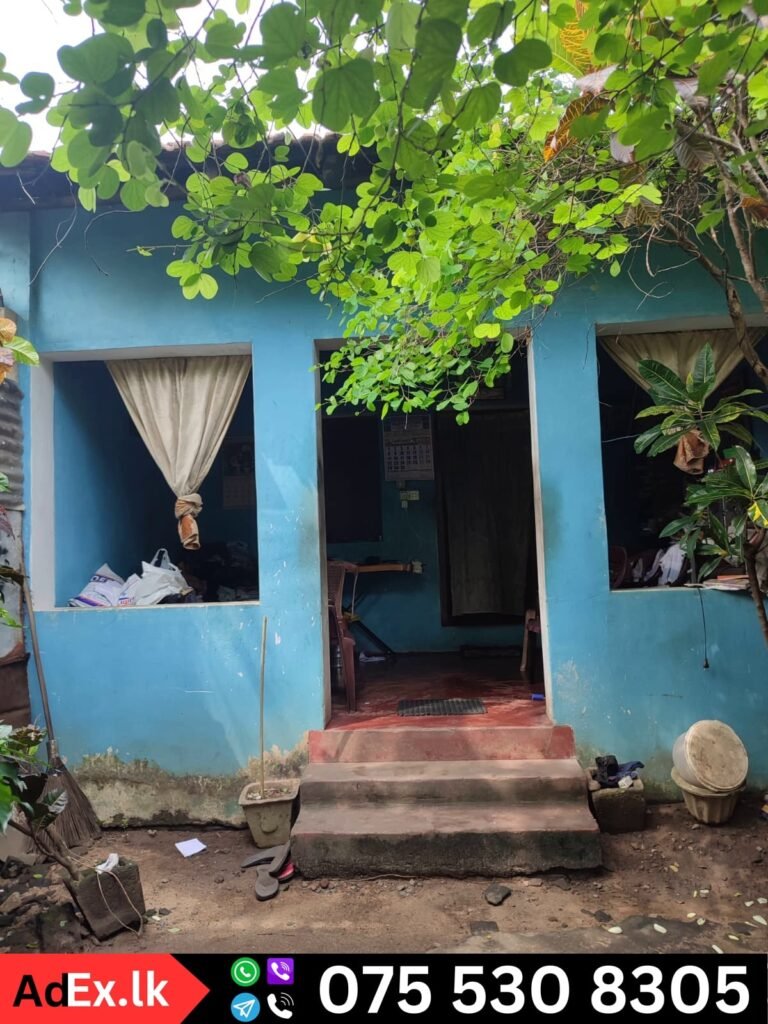 Batticaloa Town Land Sale