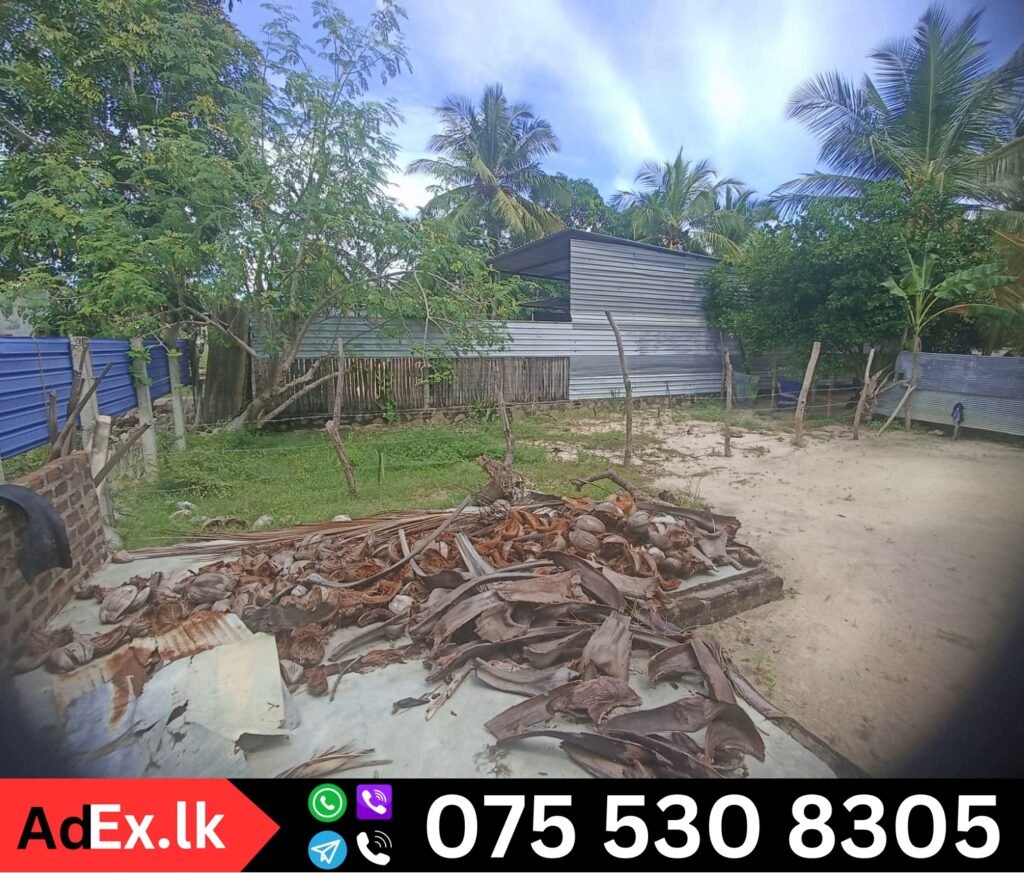 Land for Sale in Kokkadicholai Batticaloa