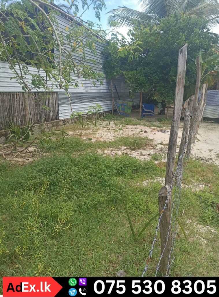 Kokkadicholai Land Sale