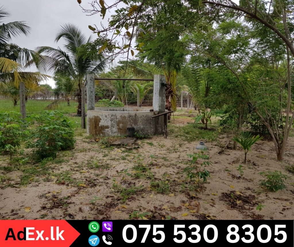 Farm Land for Sale in Batticaloa