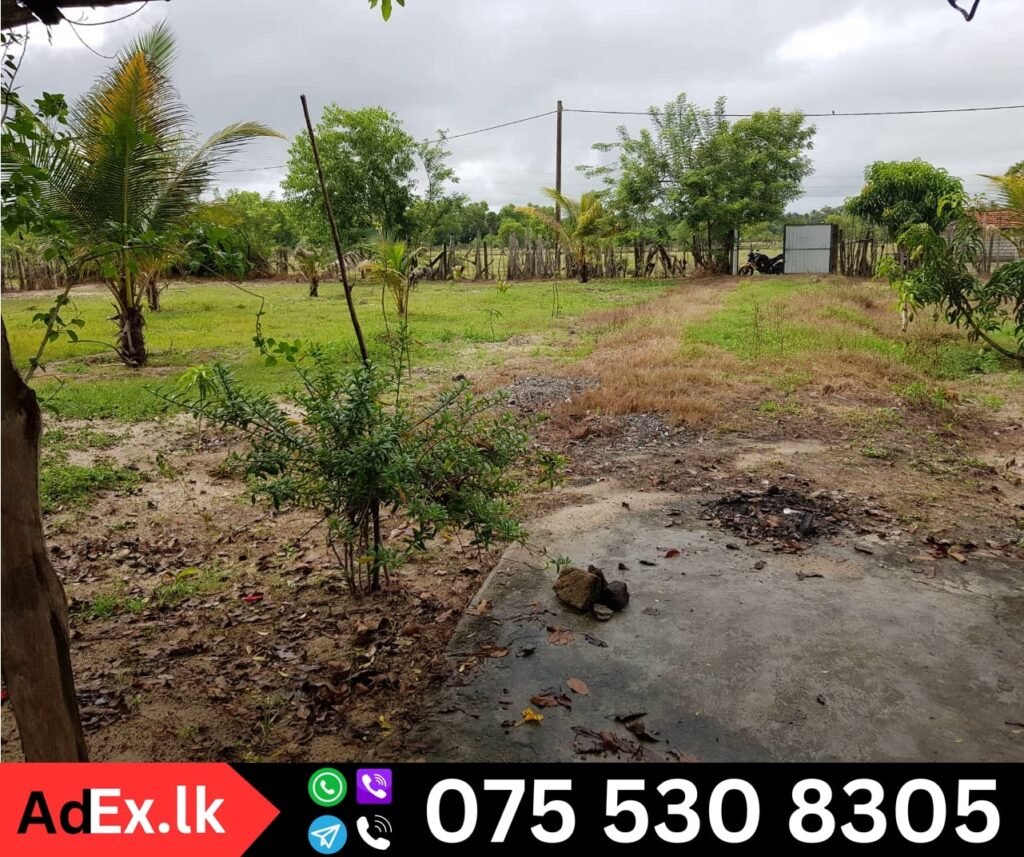 Land for Sale in Kommathurai Batticaloa