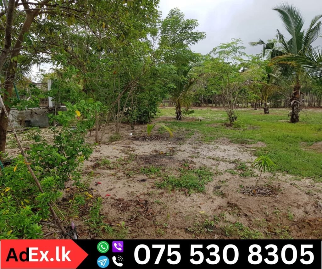 Kommathurai Land Sale