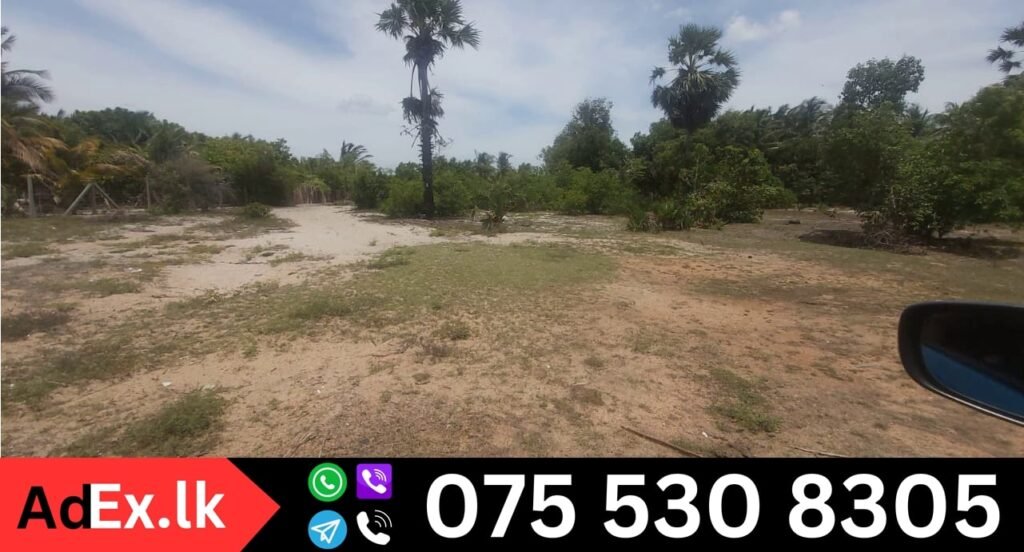 Land for Sale in Kondaikeni Valaichenai