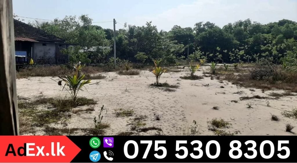 Land for Sale in Mylambaveli Batticaloa (38.54 Pereches)