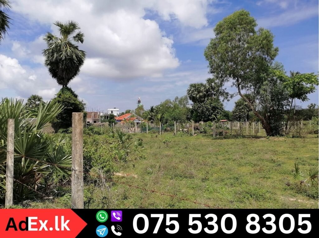 Land for Sale in Batticaloa Pillaiyarady
