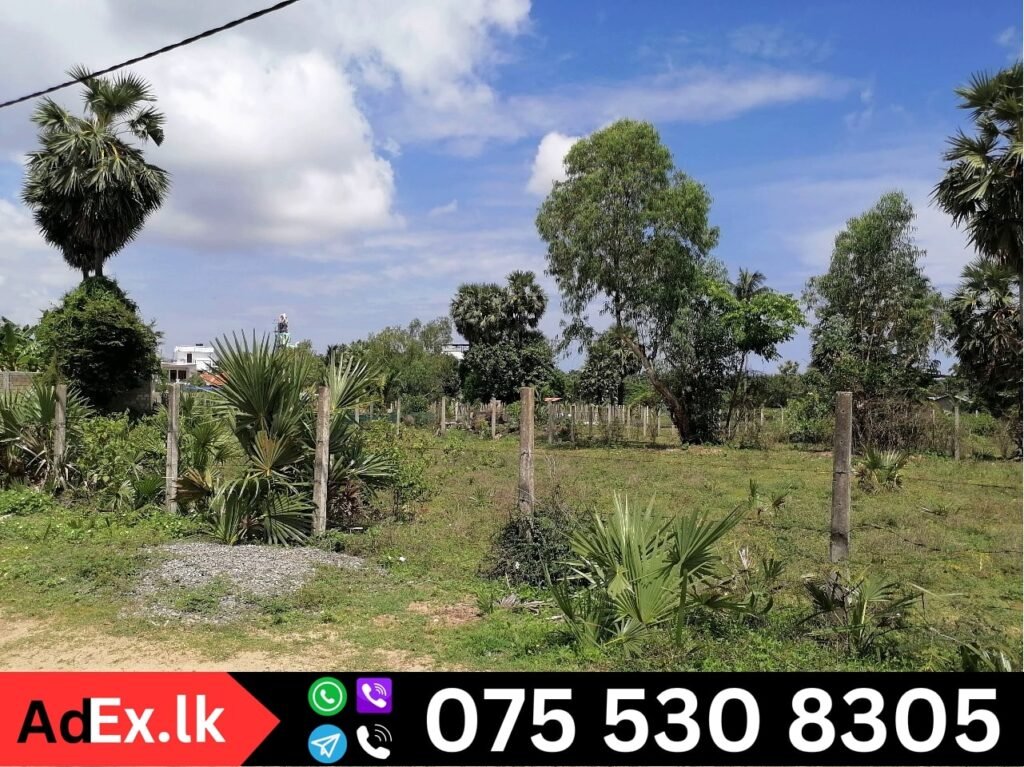 Pillaiyaradi Land Sale in Batticaloa