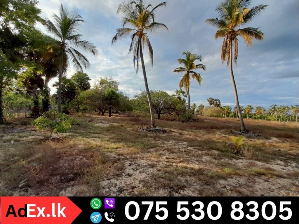 Land for Sale in Savukadi Batticaloa