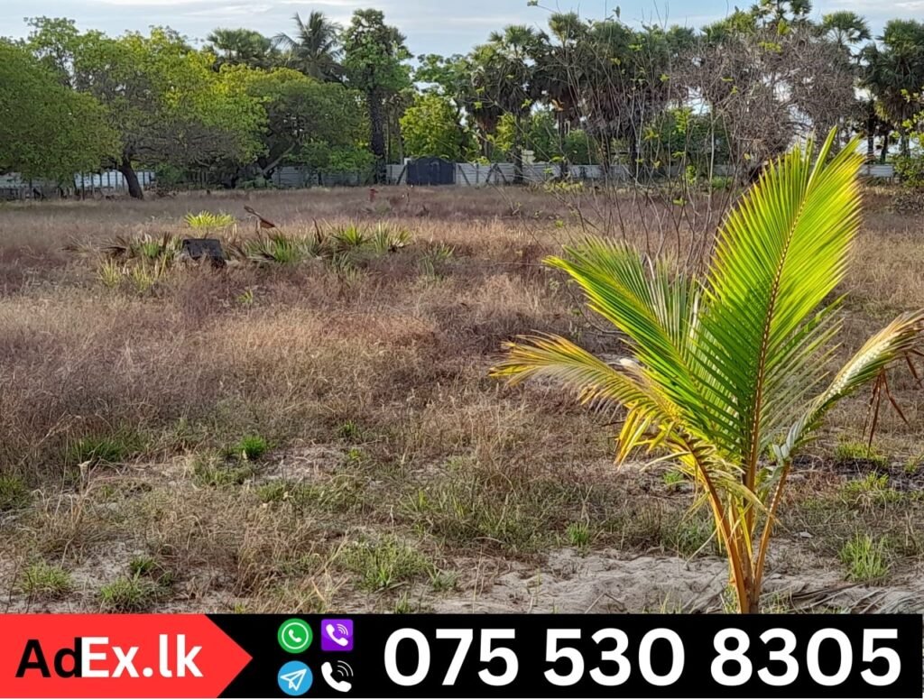 Land for Sale in Batticaloa