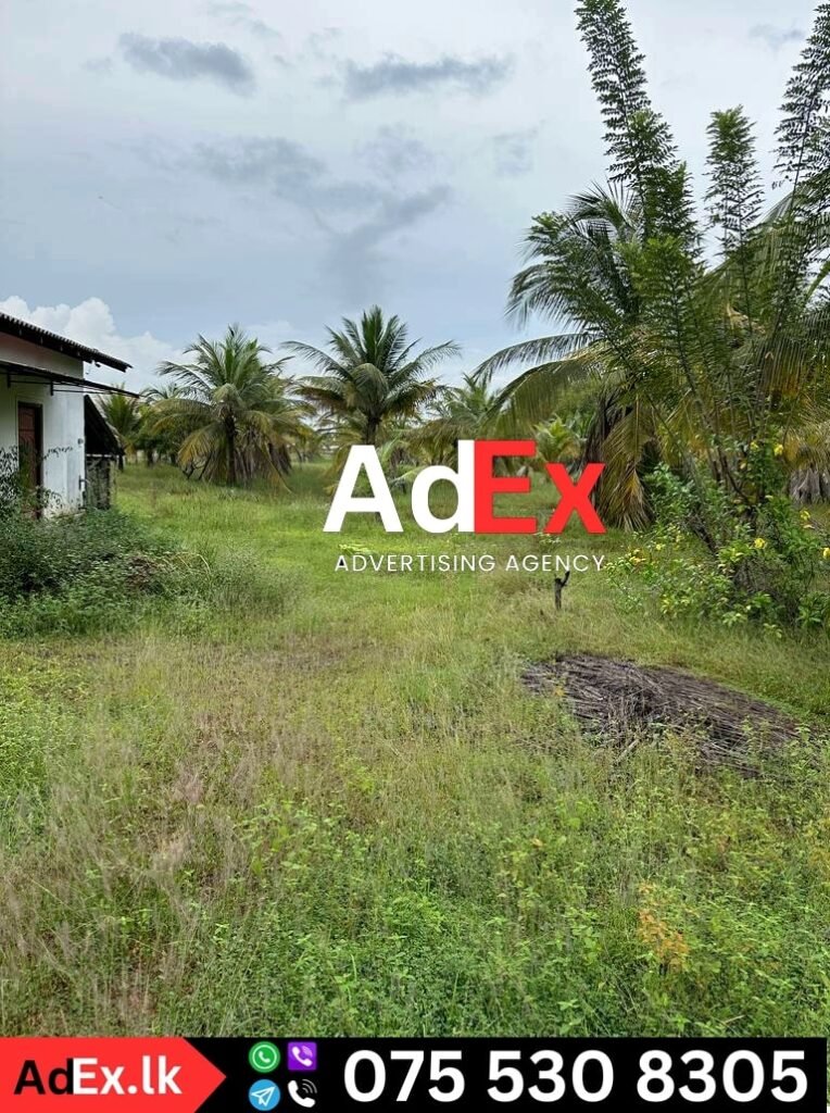 Farm Land for Sale in Batticaloa