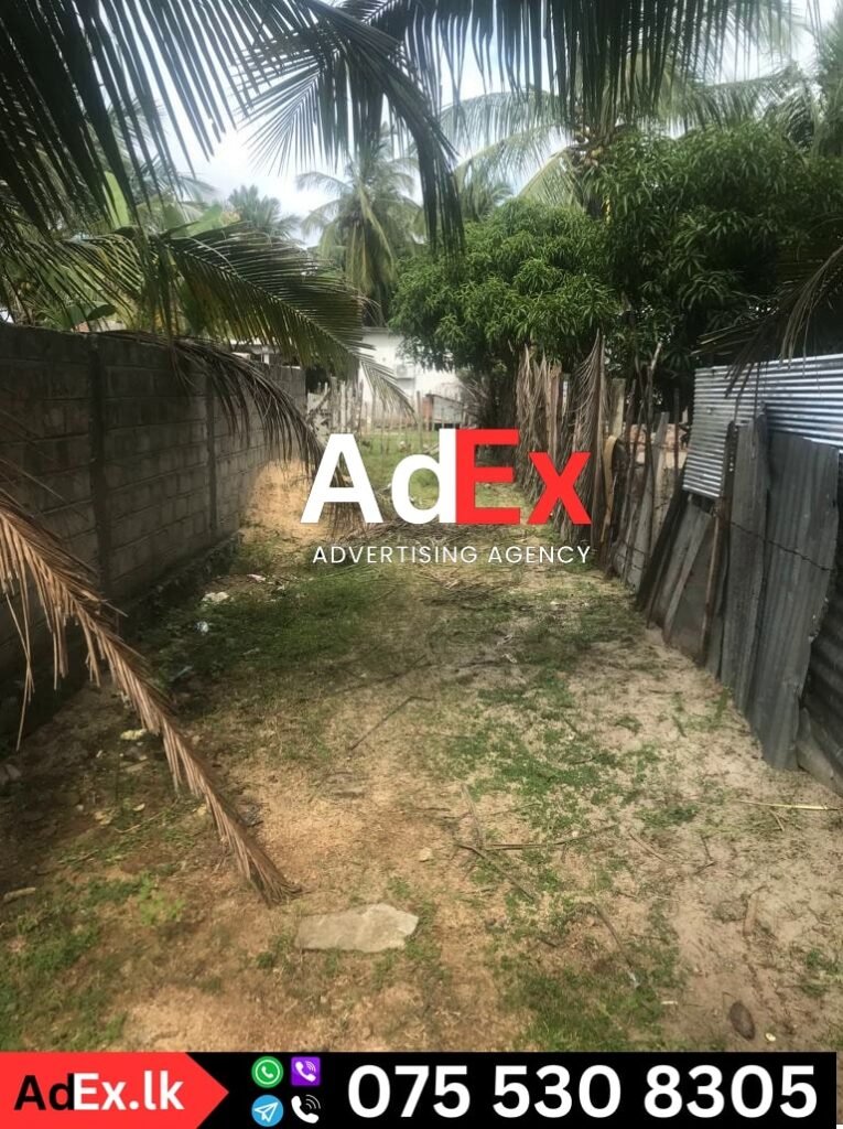 Thannamunai Land Sale