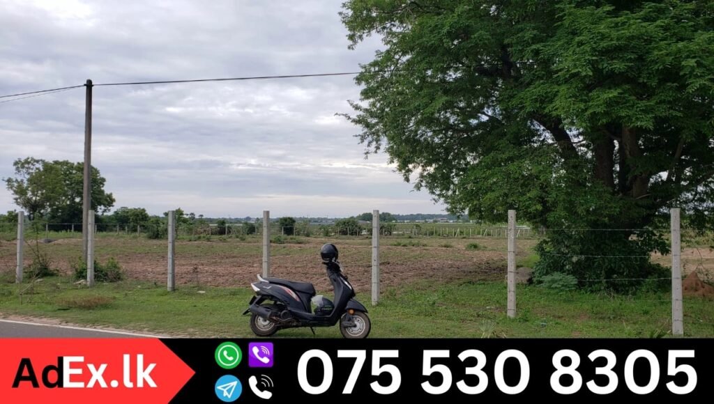 Vavunathivu Land for Sale