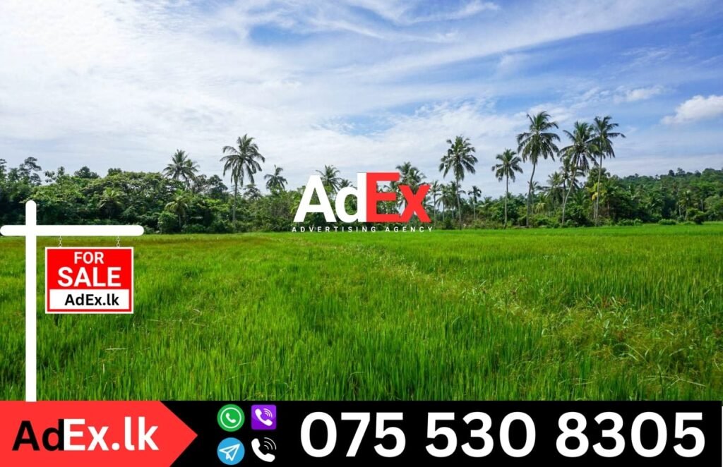 21 Acres Agriculture Land for Sale in Batticaloa Ayithiyamalai Olimadu