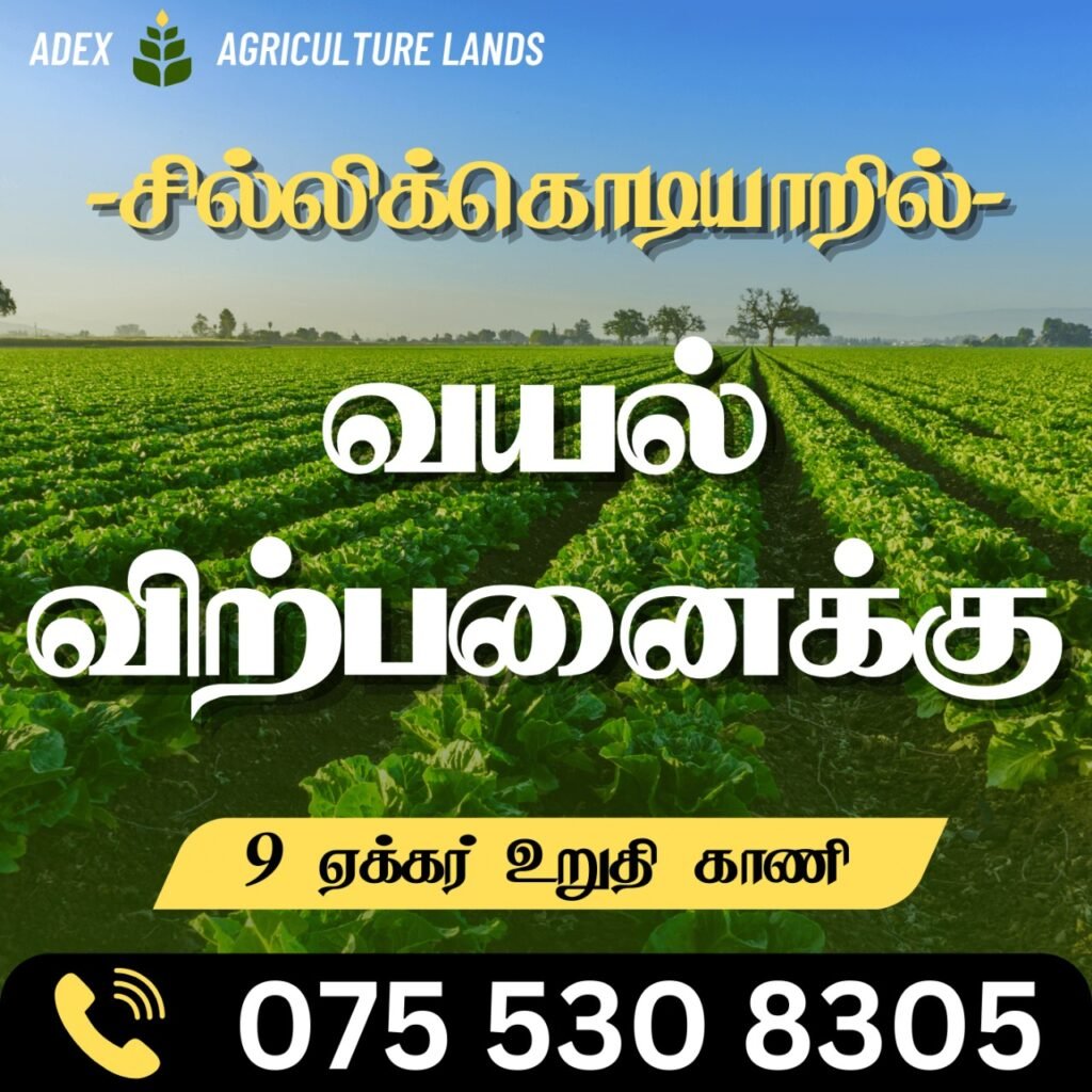 Agricultural Land for Sale Batticaloa 9 Acres Deed Land