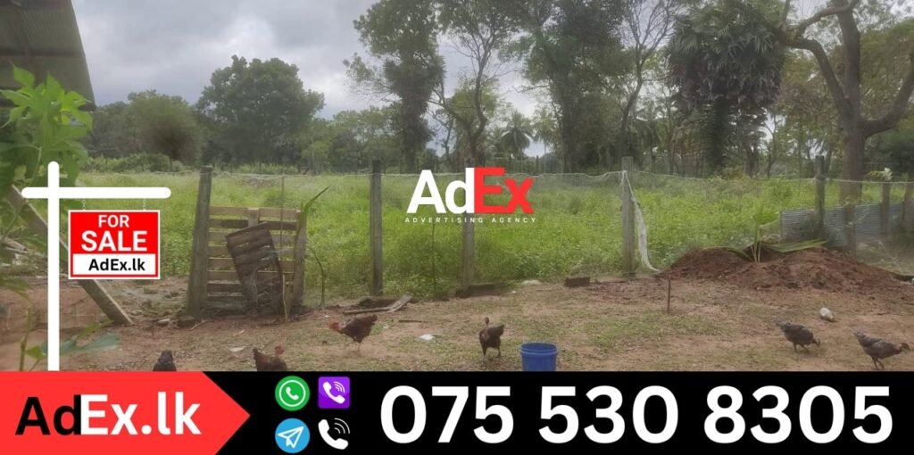 Agriculture land with Deed for Sale