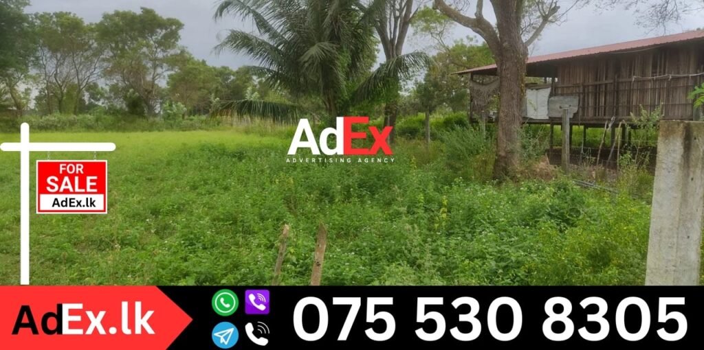 Batticaloa Agriculture Land Sale