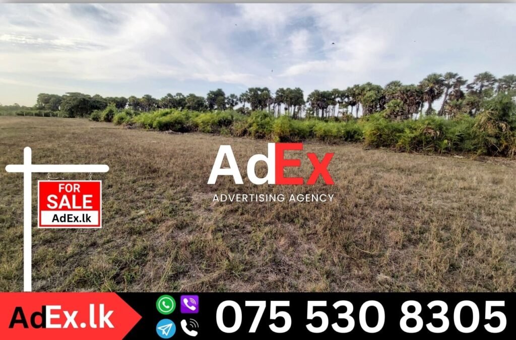 Batticaloa Empty Land Sale