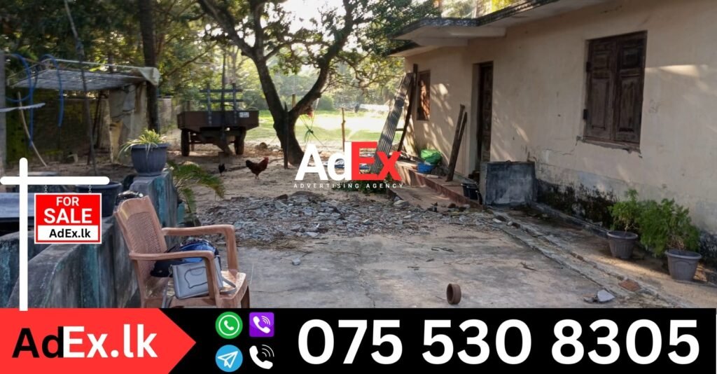 Cheddipalayam House Sale