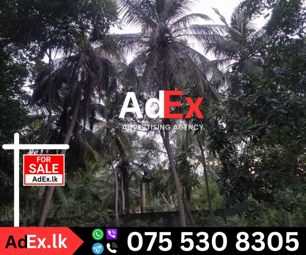 Coconut Land Sale in Batticaloa
