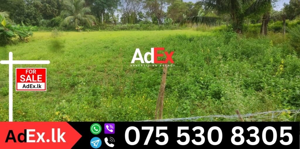 Farm Land Sale for Batticaloa