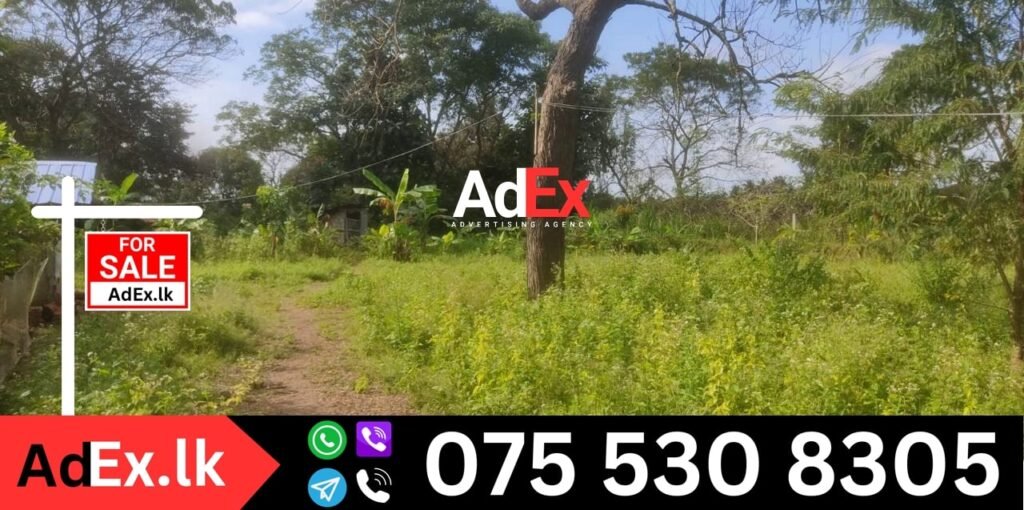 Farm Land for Sale in Batticaloa
