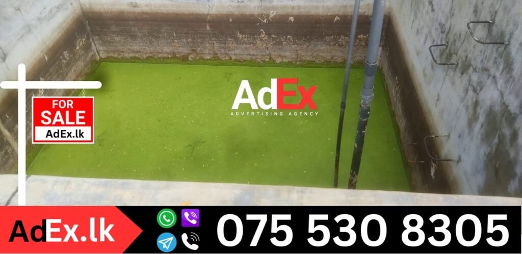 Farm Sale Batticaloa