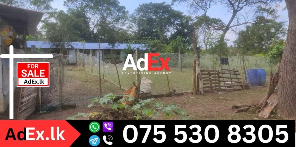 Farm for Sale in Batticaloa