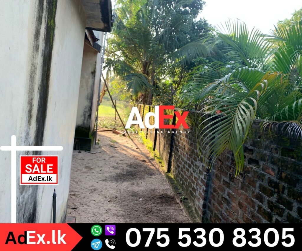 House Sale Cheddipalayam