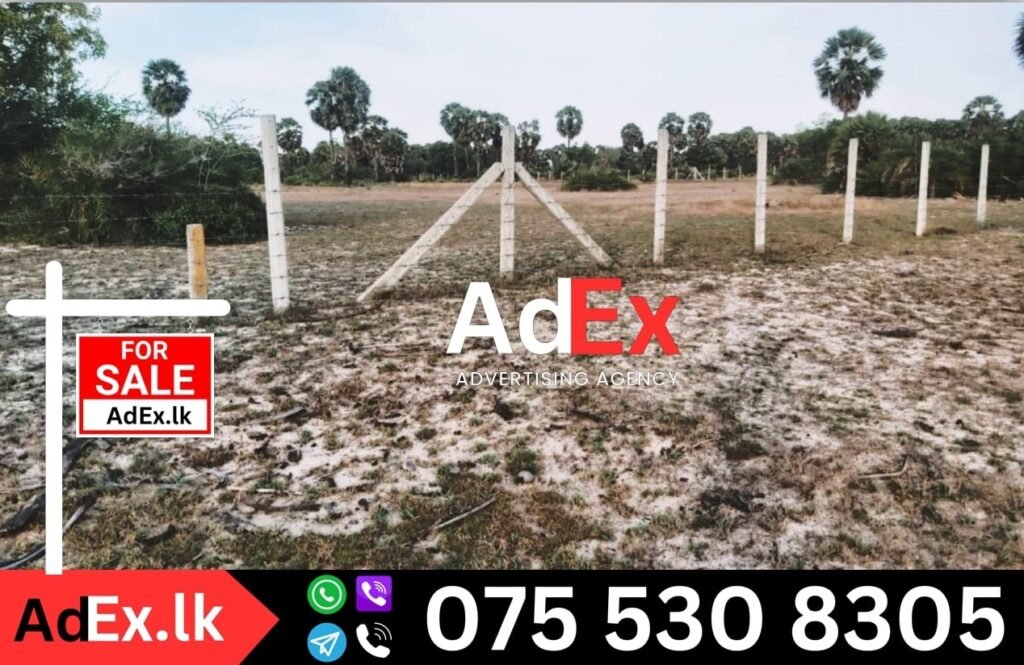 Land Sale Batticaloa