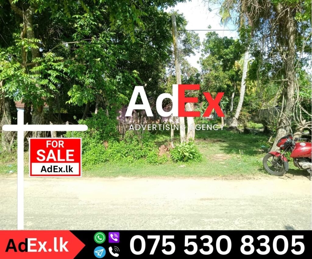 Land Sale Mankikadu Batticaloa