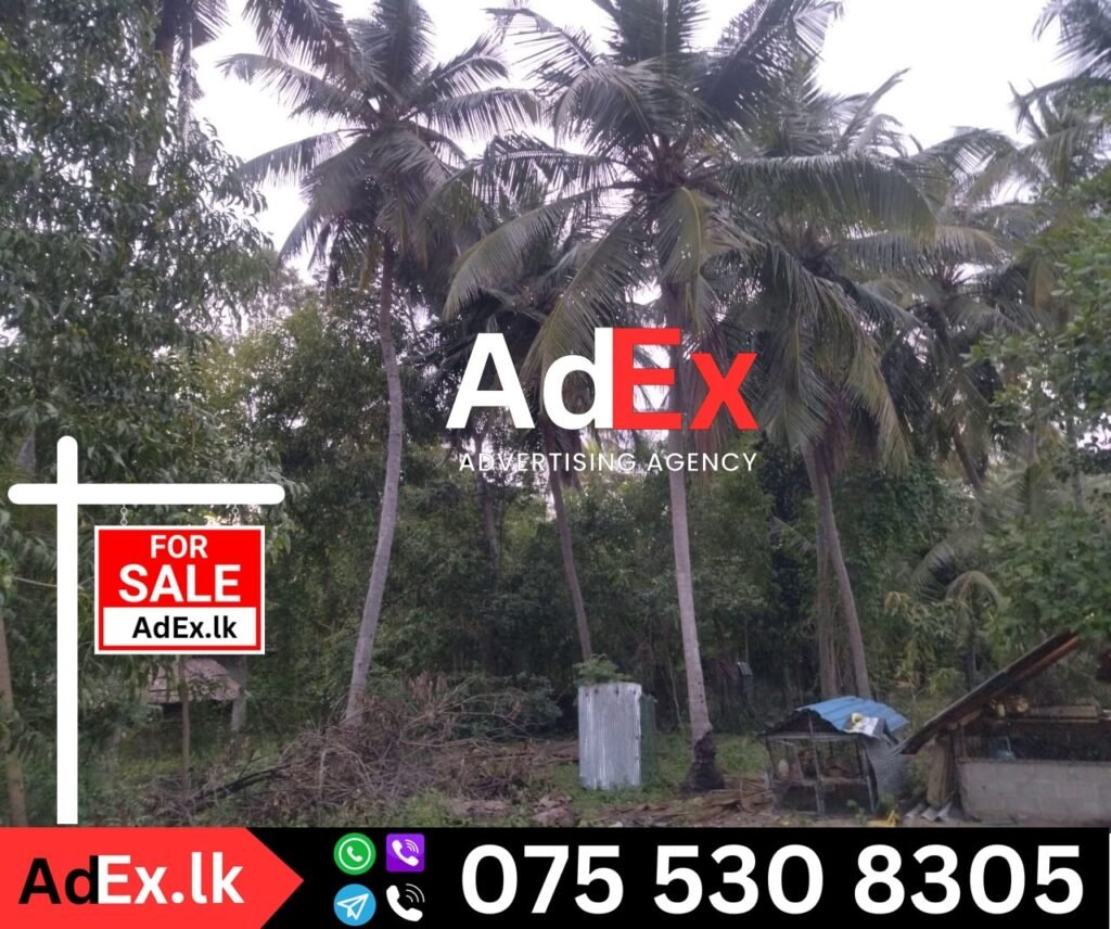 Land Sale in mayilampaveli