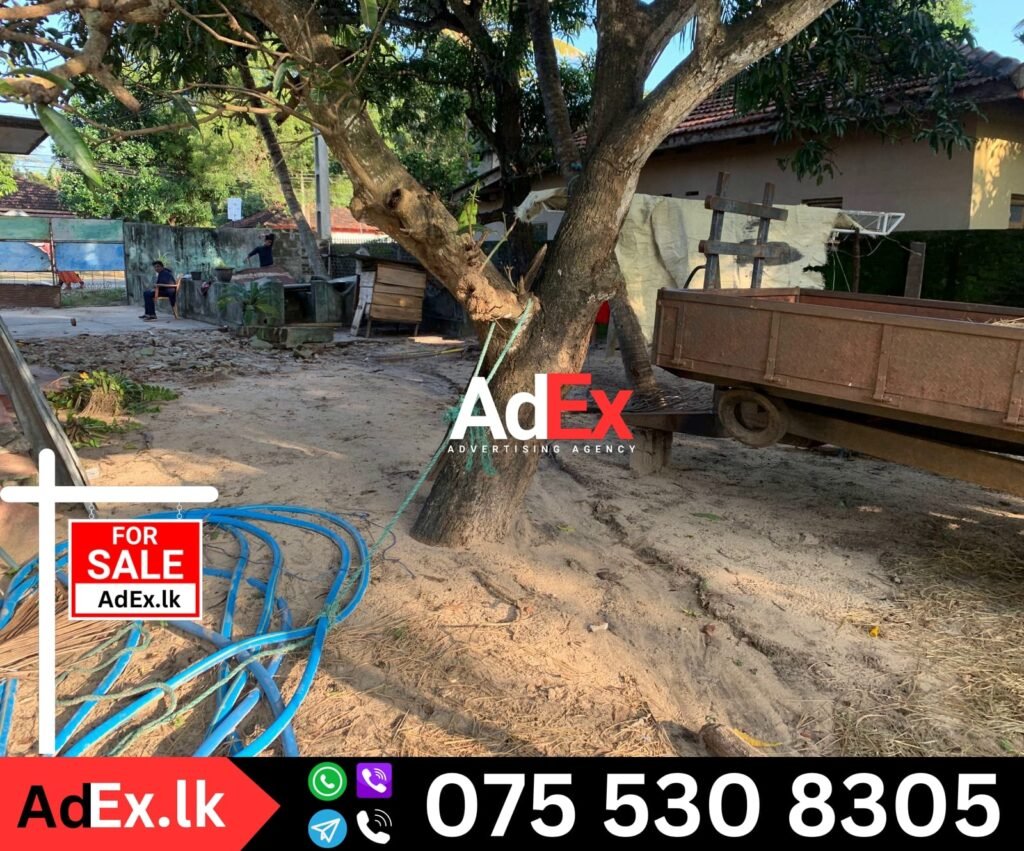 Land for Sale in Cheddipalayam