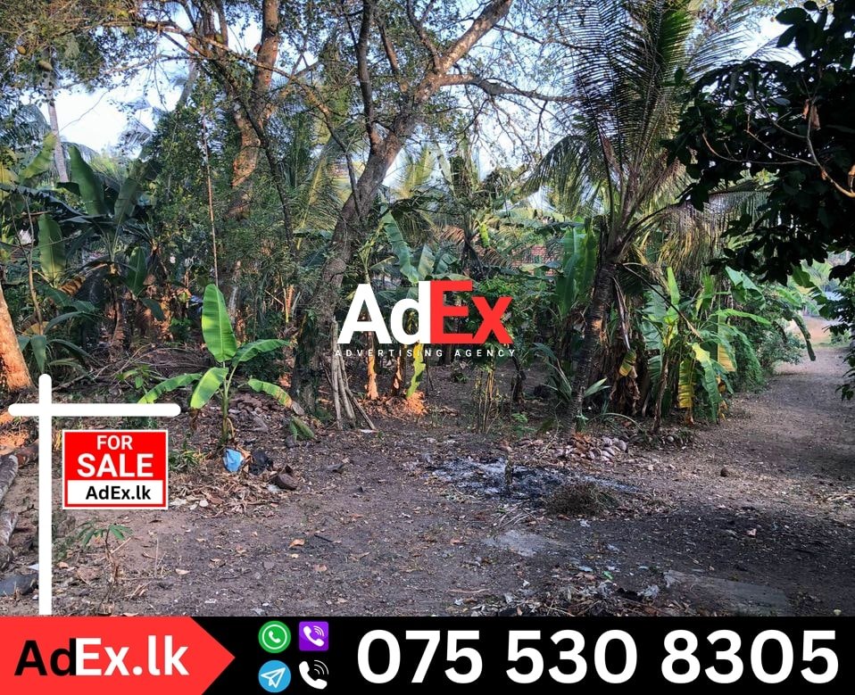 Land for Sale in Gampaha Town