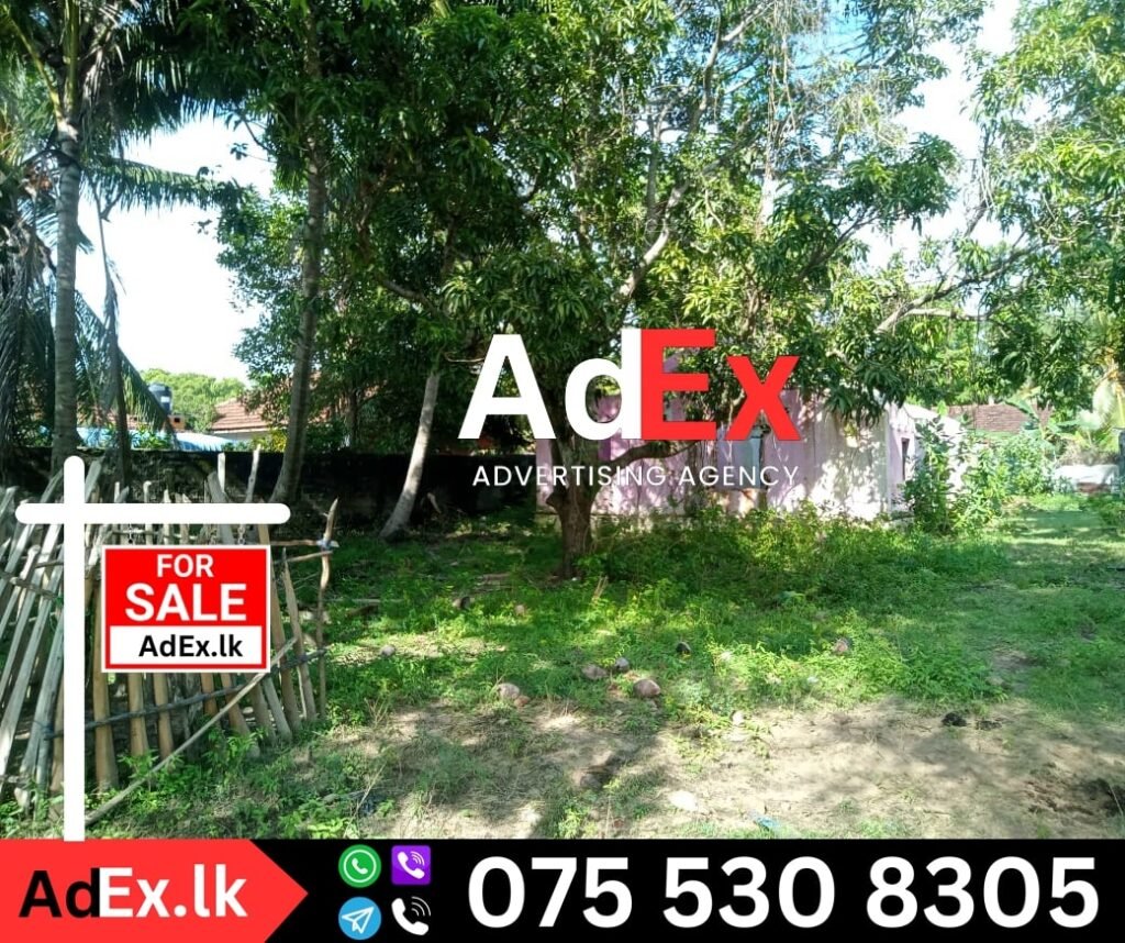 Land for Sale in Mankikaddu Batticaloa