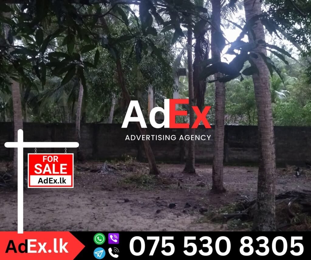 Land for Sale in Mylambaveli Batticaloa (110 Perches)1