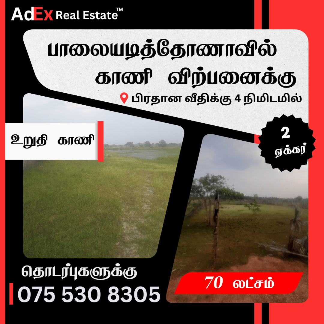 Land for Sale in Santhiveli Palaiyadithona (2 Acres)