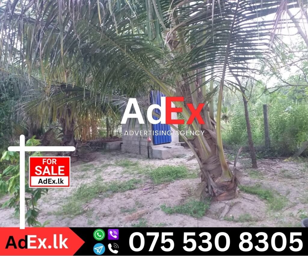 Mylampavely Batticaloa Land Sale