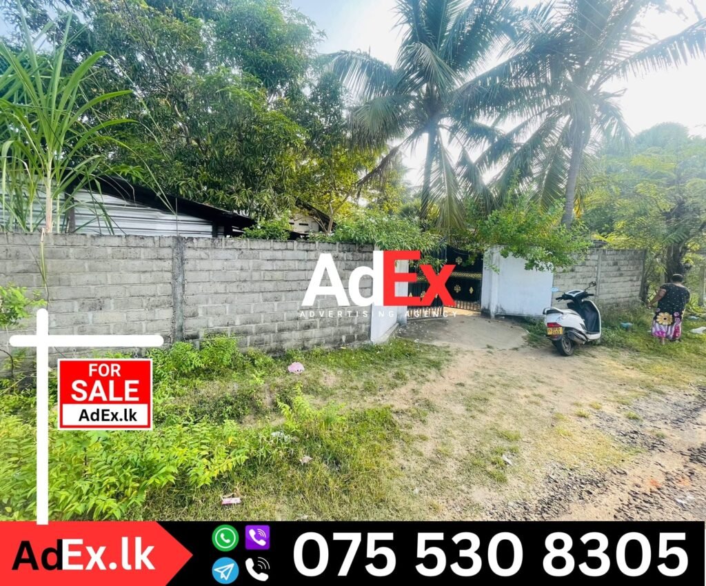 New Boundary Road Land with House Sale