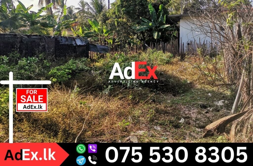 Nochchimunai Land Sale