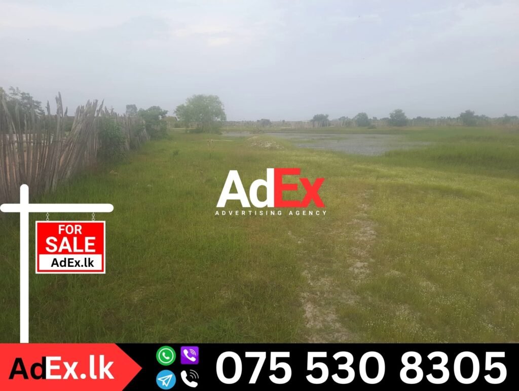 Santhiveli Land Sale