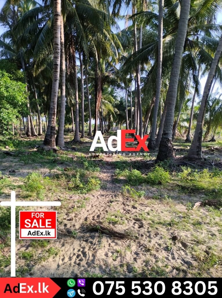 Ampara District Land for Sale