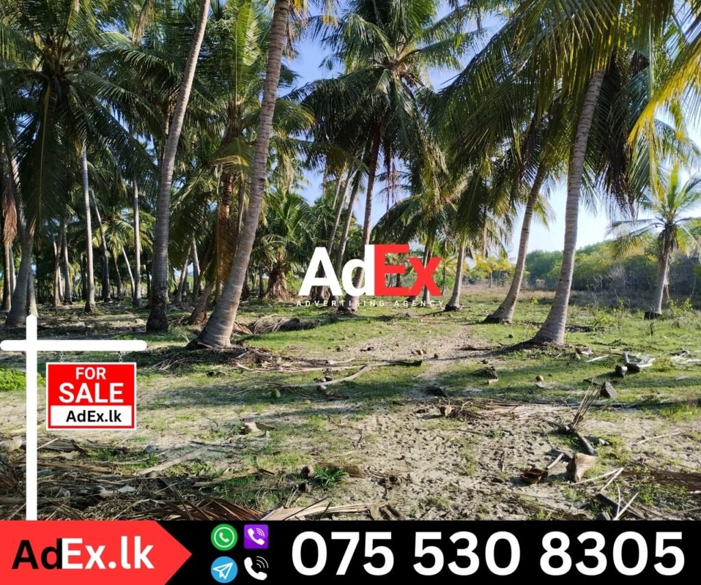 Ampara Farm Land for Sale