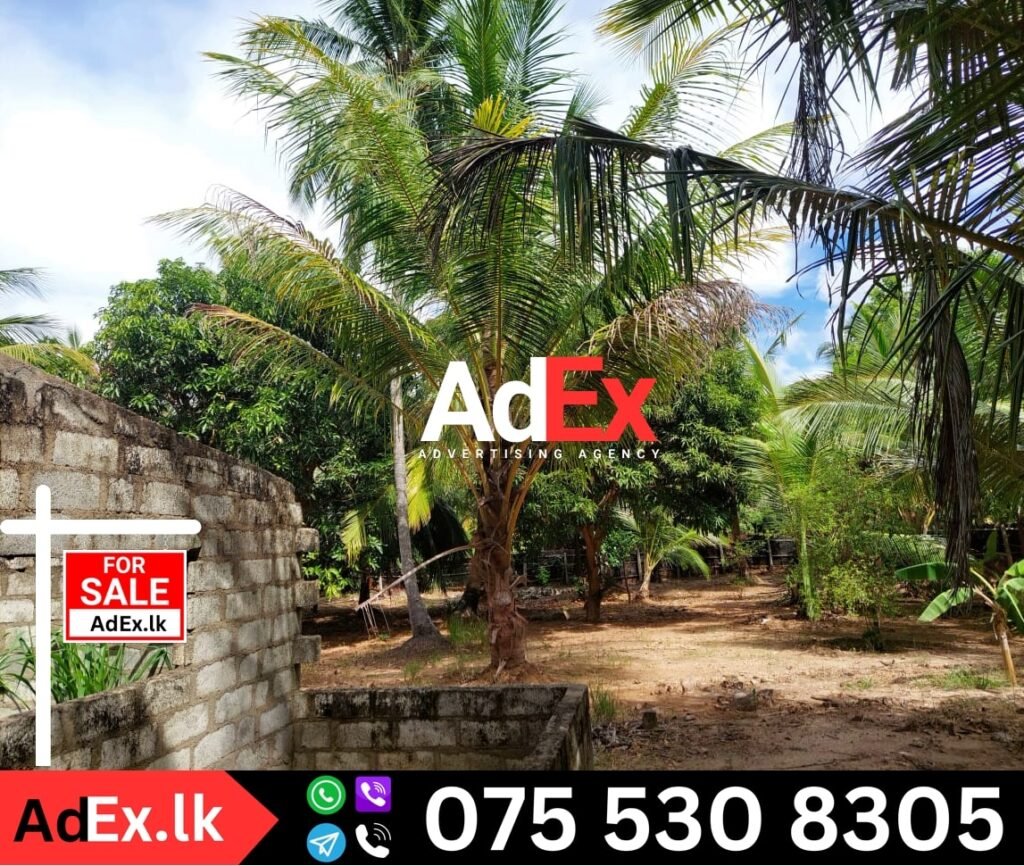 Ampara Land for Sale