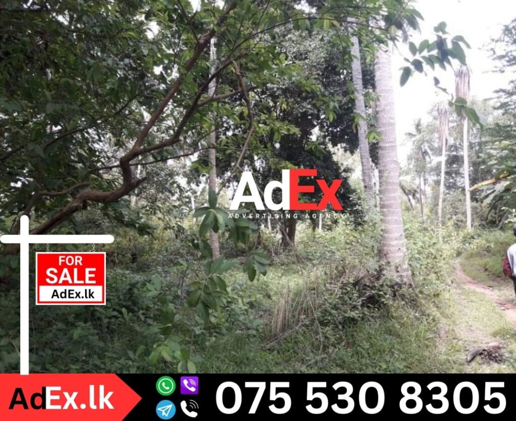 Anuradhapura Deed Land for Sale