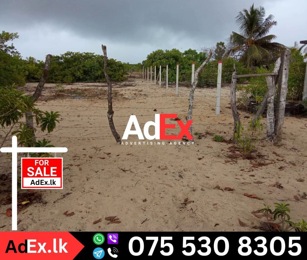 Batticaloa Cheap Price Land Sale