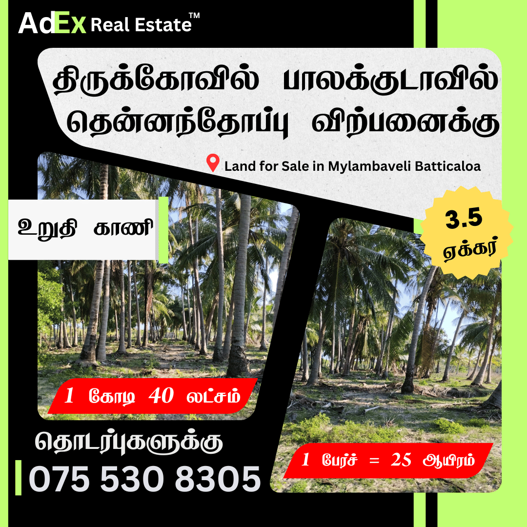 Coconut Farm Land for Sale in Thirukkovil Ampara
